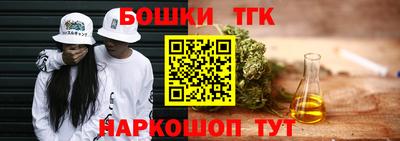 гашик Гусь-Хрустальный
