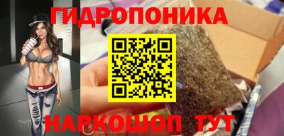 гашик Гусь-Хрустальный
