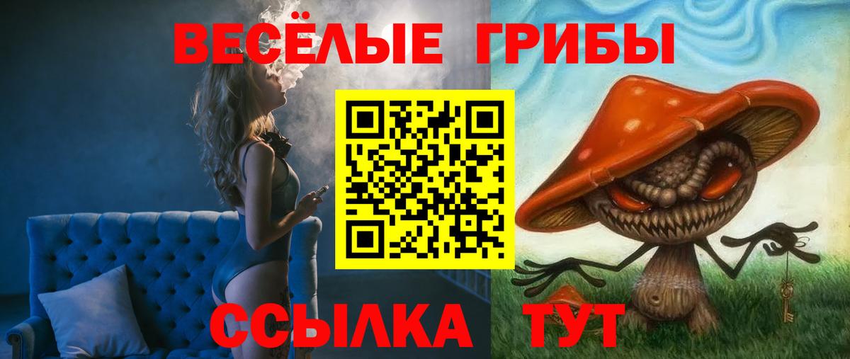 Галлюциногенные грибы MAGIC MUSHROOMS Грозный