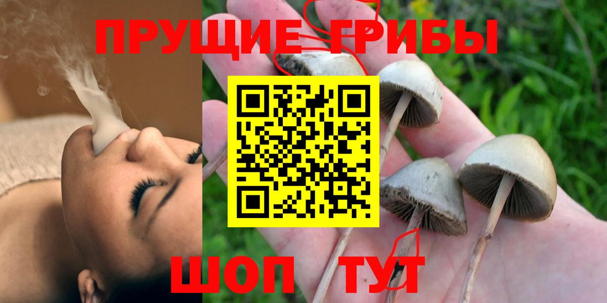 Галлюциногенные грибы Magic Shrooms  купить наркоту  Вход с VPN  Грозный  Псилоцибиновые грибы GOLDEN TEACHER 