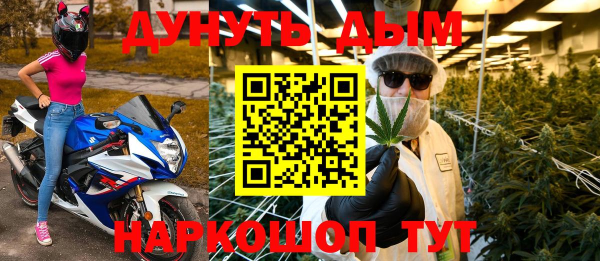 Бошки марихуана Amnesia Грозный